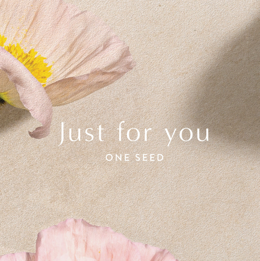 one seed natural perfume gift card